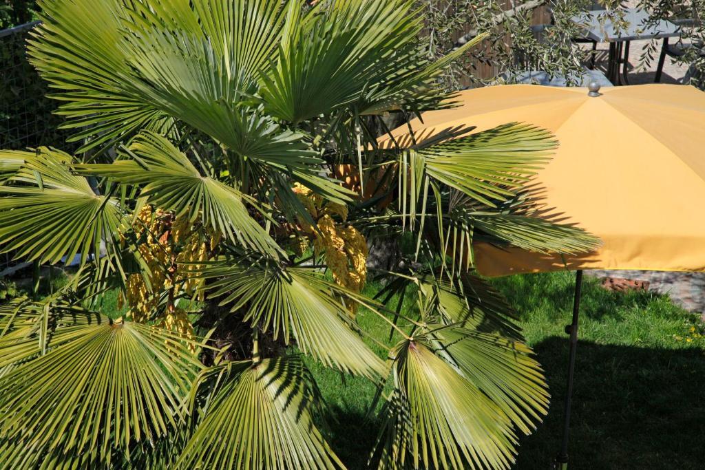 Hotel Jardis (Adults Only) Лана Экстерьер фото